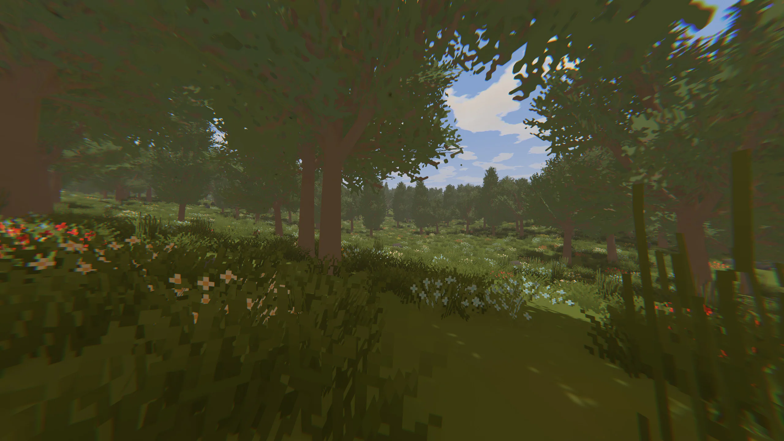 First-person view through sunlit tall grass at the edge of a forest clearing