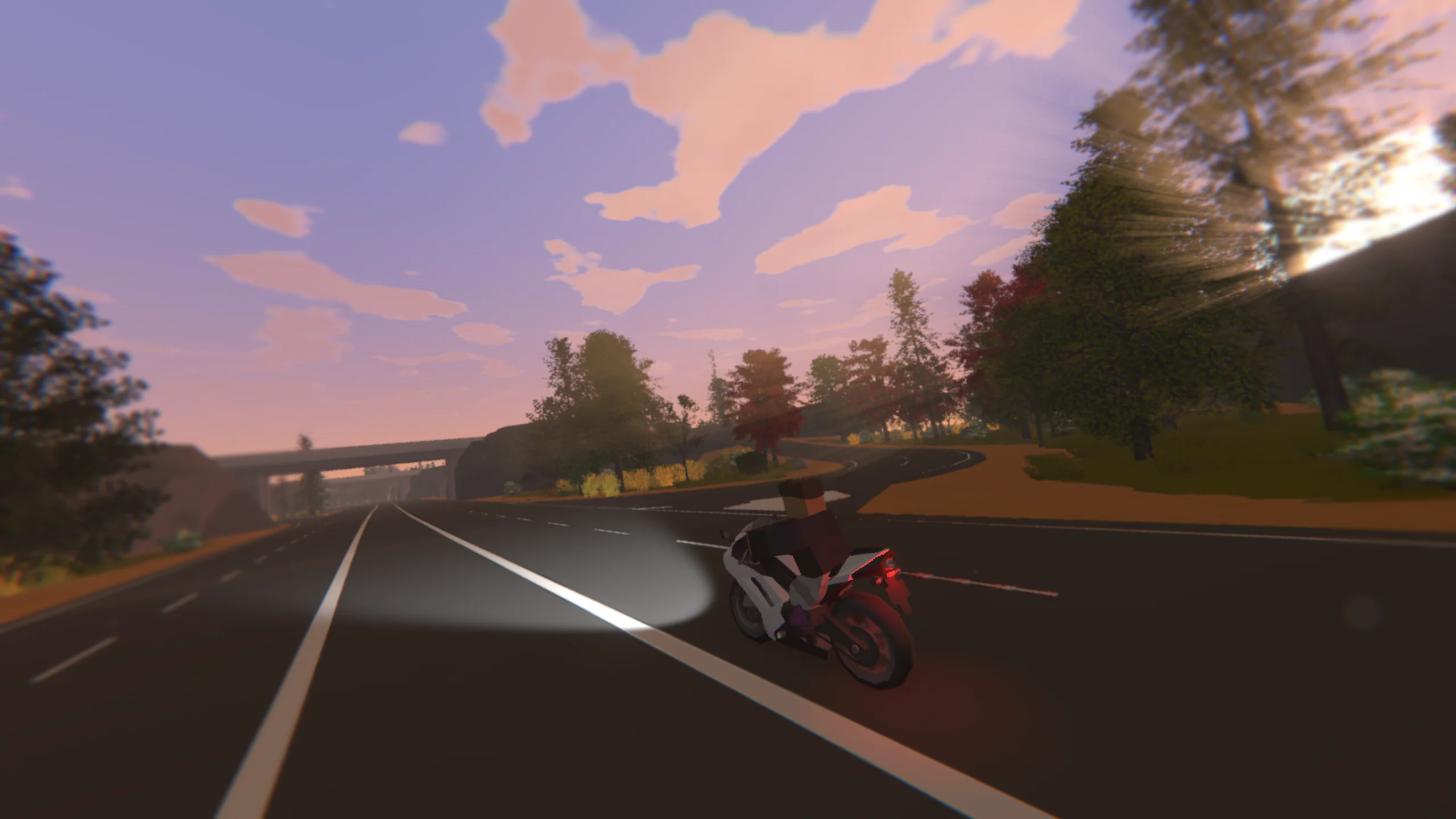 Sunset street ride: a motorcyclist heading down a tree-lined road under a pink sky